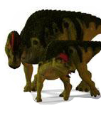 Two Duck-billed dinosaurs (Hypacrosaurus).