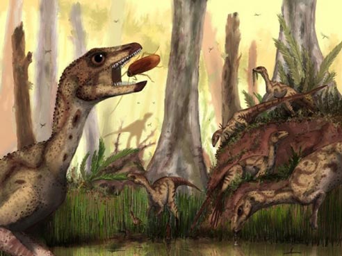 Small, Early Jurassic, bird-hipped dinosaur