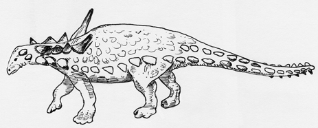Primitive nodsaurid from the United States.