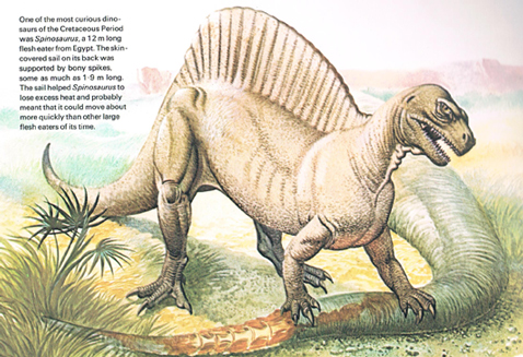 Spinosaurus as a terrestrial quadruped.