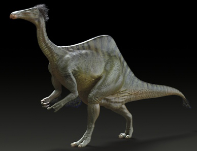 A bizarre looking Theropod after all.