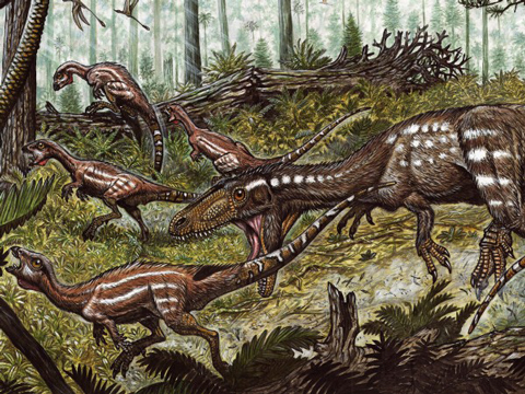 A carnivorous Tachiraptor attacks a flock of Laquintasaura dinosaurs.