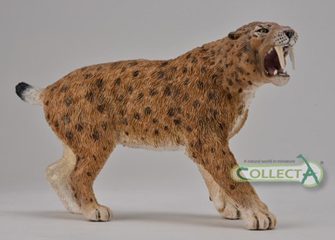 Nicely crafted Sabre-Tooth Cat model.