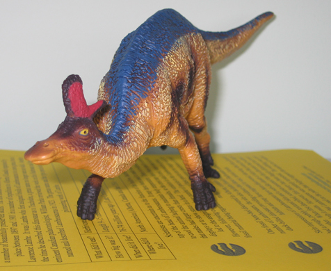 Bullyland Lambeosaurus on the Everything Dinosaur fact sheet that accompanies this model.