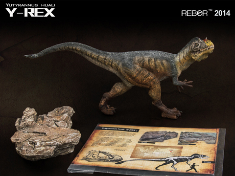 A beautiful model of a Chinese Tyrannosaur.