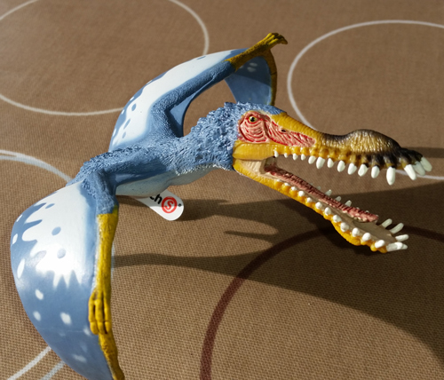 The colourful Schleich Anhanguera Pterosaur model.