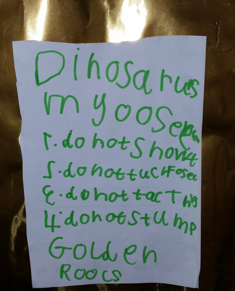Children design rules for their dinosaur museum.