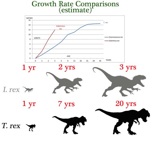I. rex versus T. rex growth rates.