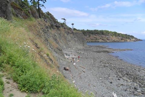 The shoreline where the fossil was found.