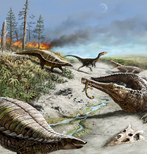 The flora and fauna of the Late Triassic.