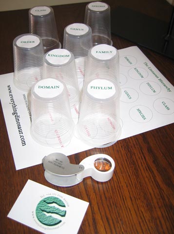 Just add the labels to the plastic cups to make a fun memory game.