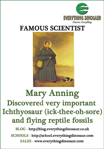 Mary AnningPoster