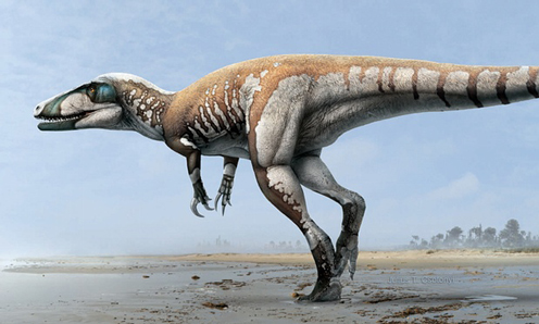 An Early Cretaceous predator.