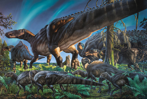 Duck-billed dinosaur would have seen the northern lights.