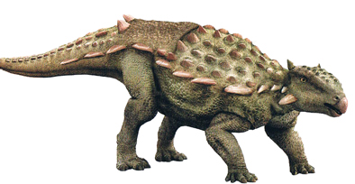 An early member of the Ankylosauria clade.