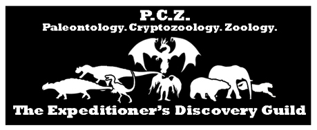 Main logo of The Expeditioner’s Discovery Guild