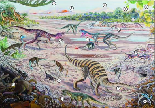 The prehistoric life of South Africa.