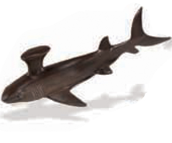 Part of the Safari Ltd "Prehistoric Shark Toob)