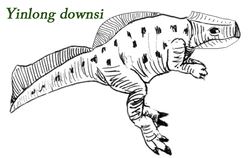 Yinlong downsi, the earliest known Ceratopsian dinosaur.