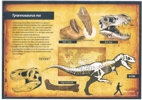 Rebor King T. rex Data Sheet