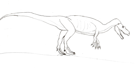 Herrerasaurus dinosaur drawing.