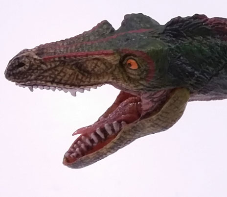 A close look at the Papo feathered Velociraptor dinosaur model.