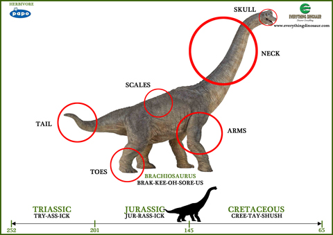 A Papo Brachiosaurus dinosaur word mat.
