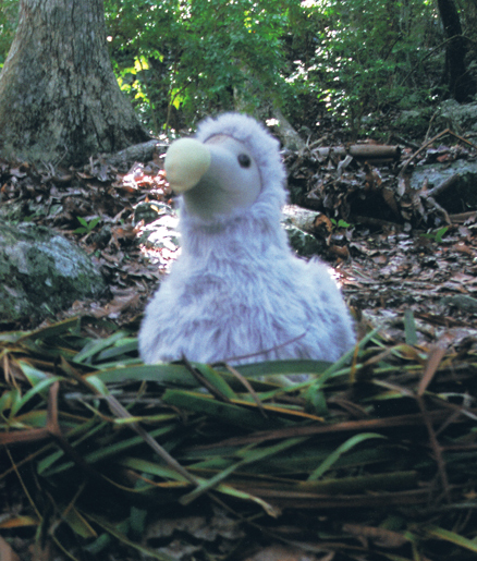 A soft toy Dodo sitting on a nest.