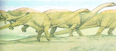 Suggested explanation for trackways - Sauropods "punting" along.