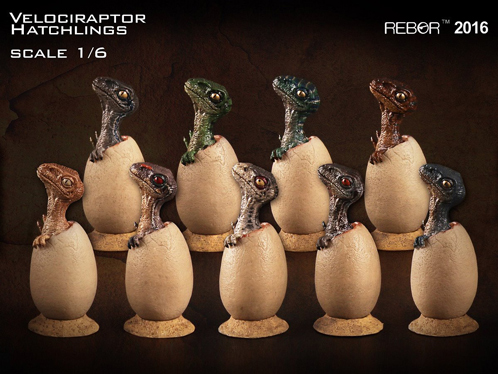 The Rebor Hatching Velociraptor set.