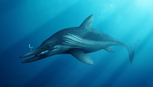 Ichthyosaurus illustration.