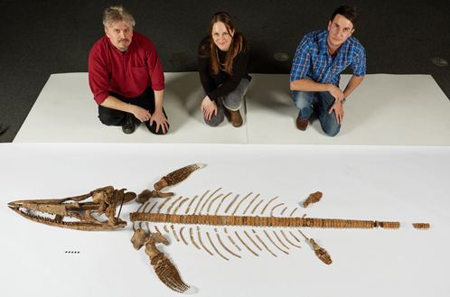 Nigel Larkin (left), Luanne Meehitiya (centre) and Dean Lomax (right) with the Warwickshire Ichthyosaurus specimen (scale bar 10 cm)