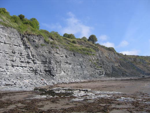 Fossil hunting can be fun but beware of the cliffs.