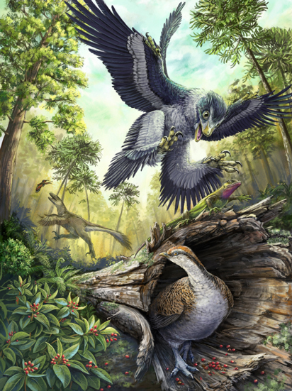Study suggests the evolution of a toothless beak ideal for seed eating may have had evolutionary advantages at the end of the Cretaceous.