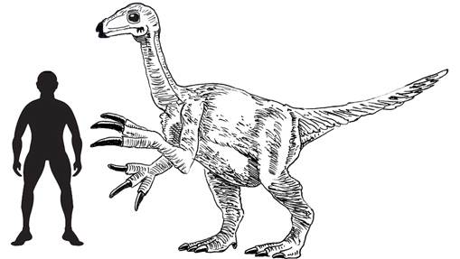 The illustration ready for our Nanshiungosaurus fact sheet.