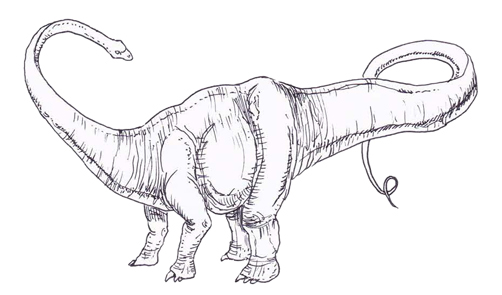 A drawing of Diplodocus.