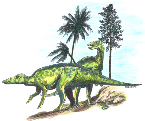 A typical Late Cretaceous hadrosaurid.