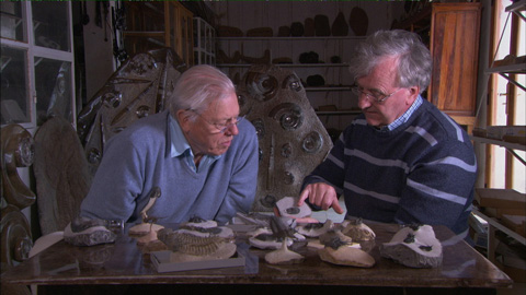 Sir David Attenborough discussing Trilobites with Professor Richard Fortey.