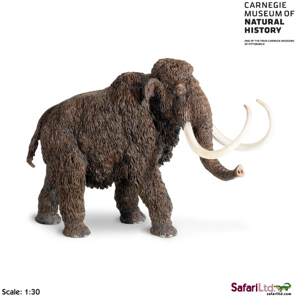 A model of a Woolly Mammoth. 