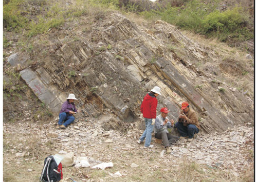 Researchers examine the fine-grained mudstones which form part of the Gaoyuzhuang Formation.