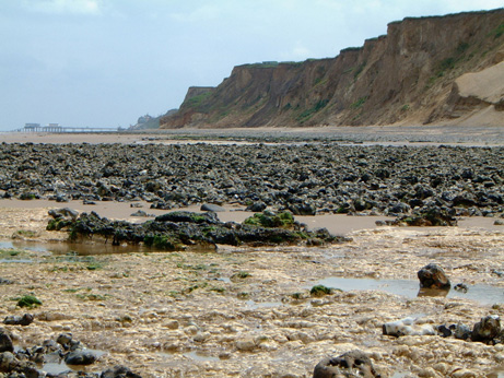A view of the famous West Runton beach, a great place to find fossils.