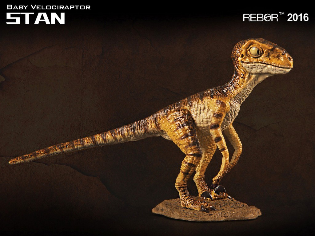 1:18 Rebor baby Velociraptor replica.