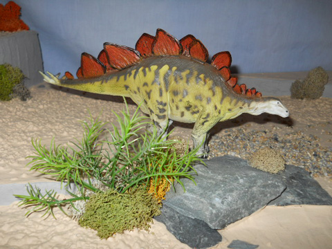 A model of a Stegosaurus.