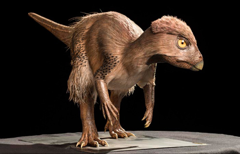 A life-size replica of the dinosaur Kulindadromeus from Siberia.