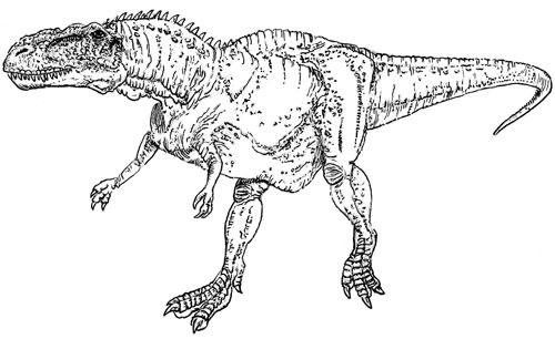 A drawing of a dinosaur (Abelisaurus).