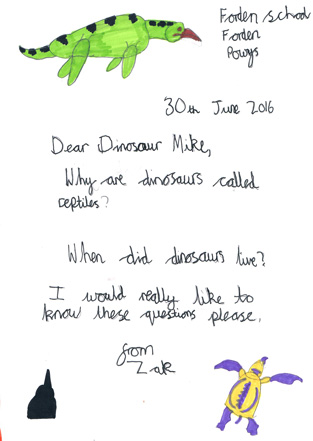 Year 3 children wrote to Everything Dinosaur