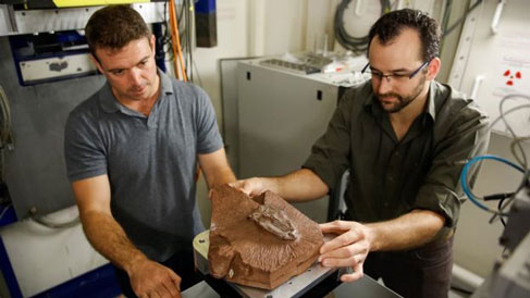 Preparing the skull of Heterodontosaurus for "beamline" scanning.