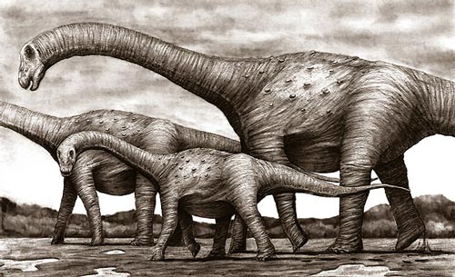Titanosaurs illustrated.