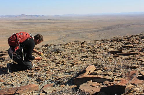 Fossil hunting (Namibia)
