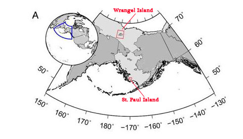 The location of the last of the Woolly Mammoths (St. Paul Island and Wrangel Island).